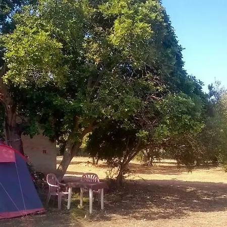 Camping Ciauli